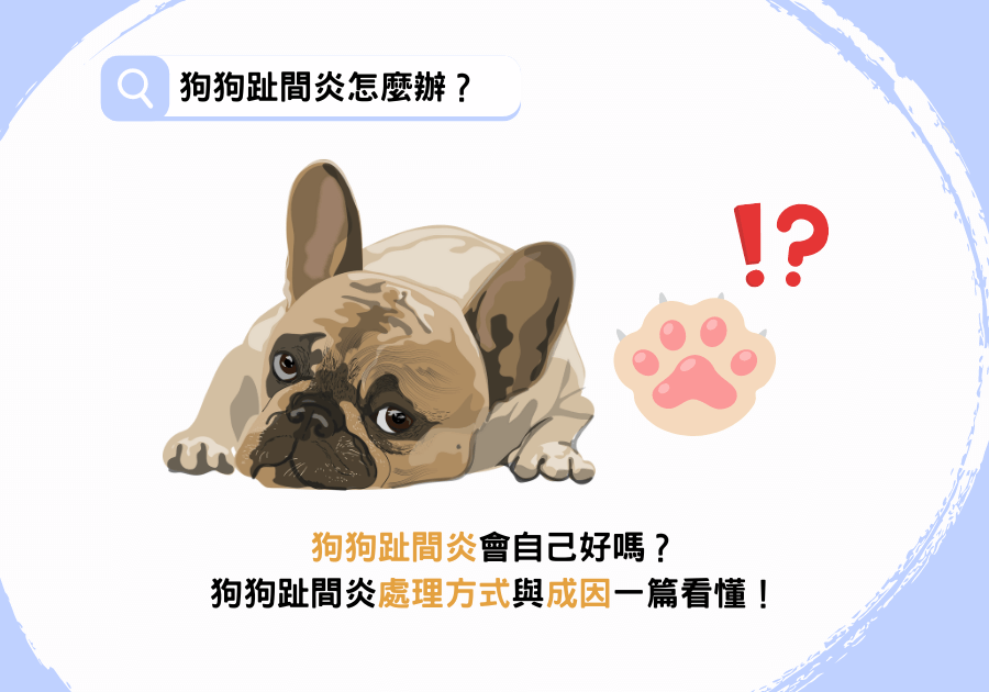 狗狗趾間炎