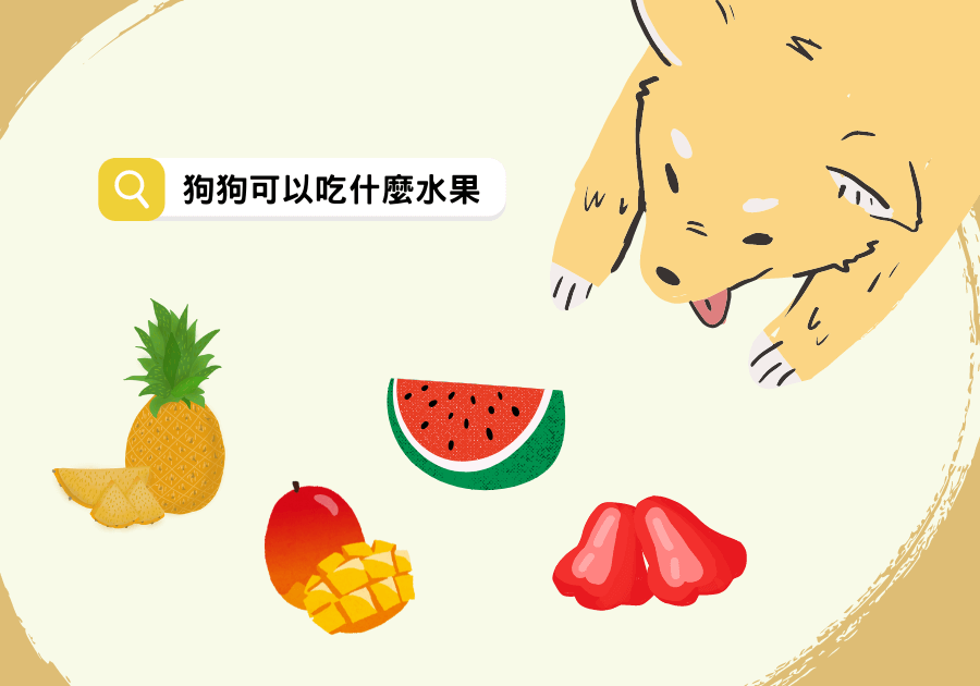 what fruit can dogs eat