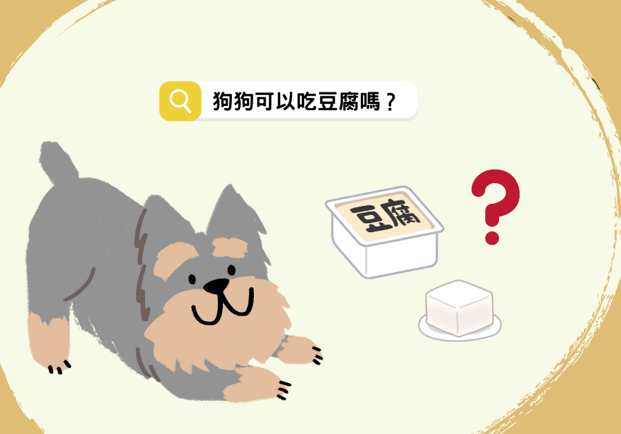 狗狗可以吃豆腐嗎